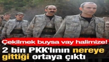 Çekilmek buysa vay halimize! 2 bin PKK'lının nereye gittiği ortaya çıktı