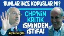 CHP'de Kılıçdaroğlu'nu şoke eden istifa! Başdanışman Mehmet Hasan Eken Muharrem İnce'nin partisine mi katılacak?