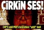 CHP'li vekilden PKK'lı teröristler için skandal sözler.