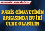 "Cinayetlerin arkasında Rusya ve İran olabilir"