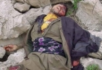 Çobanlar 5 PKK Cesedi Buldu