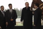 Cumhurbaşkanı Erdoğan'a at hediye edildi