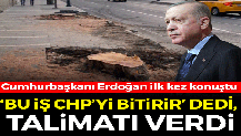 Cumhurbaşkanı Erdoğan'dan İBB'ye ağaç tepkisi: Bu iş CHP’yi bitirir