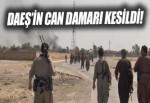 DAEŞ'in can damarı kesildi