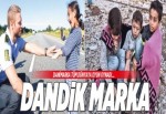 Dandikmarka