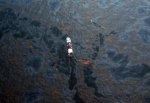 Deniz kirliliğine petrol sorbenti