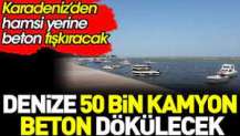 Denize 50 bin kamyon beton dökülecek. Karadeniz’den hamsi yerine beton fışkıracak