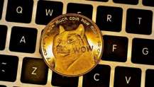 Dogecoin vurgunu