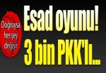 Doğruysa her şey değişir! 3 bin PKK'lı...