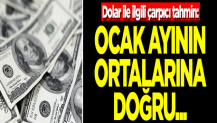 Dolar ile ilgili çarpıcı tahmin: Ocak ayının ortalarına doğru...