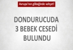 Dondurucudan 3 bebek cesedi çıktı!