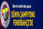 Dünya şampiyonu Dietzen Fenerbahçe'de