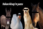 Duydum ki tecavüze uğramışsın…
