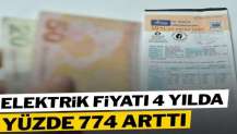 Elektrik fiyatı 4 yılda yüzde 774 arttı