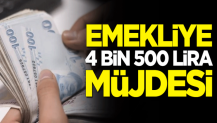 Emekliye 4 bin 500 lira müjdesi