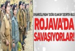 Ensarioğlu: Dağdaki çocuklar Rojava'da savaşıyor!