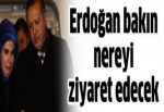 Erdoğan Angry Birds'i ziyaret edecek