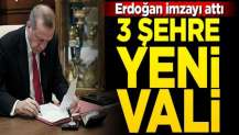 Erdoğan imzaladı, 3 şehre yeni vali atandı
