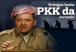 Erdoğan kadar PKK'nın şahin kanadı da sorumlu"
