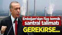Erdoğan'dan termik santral talimatı! Gerekirse...