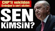 Erdoğdu’dan Erdoğan’a sert sözler: Sen kimsin? Ne sanıyorsun kendini?