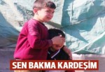 Evlerinin yanmasını ağlayarak izlediler