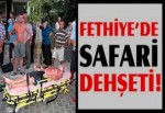 Fethiye’de safari dehşeti!