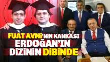 Fuat Avni'nin Kankası Karagöz, Erdoğan'ın dizinin dibinde