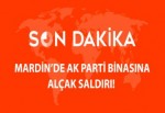 Hainler yine saldırdı