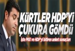 Halk PKK ve HDP'yi çukura gömdü..