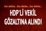 HDP milletvekili Mehmet Ali Aslan gözaltına alındı