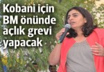 HDP'li vekiller BM önünde açlık grevinde