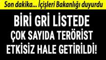 İçişleri Bakanlığı duyurdu! Biri gri listede 7 terörist etkisiz hale getirildi