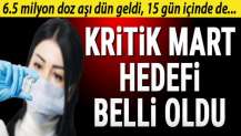 İlk hedef 12 milyon aşılama