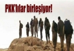 İran'daki PKK'lılar PYD'ye desteğe gidiyor