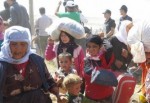 IŞİD'den kaçan Suriyeli Kürtler: Teşekkürler Türkiye