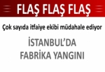 İstanbul'da fabrika yangını