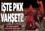 İşte PKK vahşeti!..