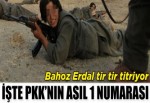 İşte PKK'nın asıl 1 numarası