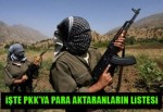 İşte PKK'ya destek verenlerin listesi