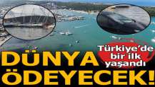 İzmir'deki deprem sonrası Türkiye'de bir ilk yaşandı! Dünya ödeyecek...