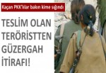 Kaçan PKK'lılar bakın kime sığındı
