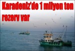 Karadeniz'de 1 miyon ton hamsi var