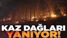 Kaz Dağları’nda yangın çıktı