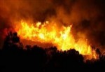 Kazdağları'ndaki yangın: 200 hektarlık alan etkilendi