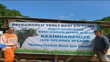 Kendi işimi kendim yaparım” dedi kurbanlık seçti