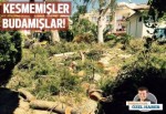 Kesmemişler budamışlar!