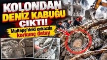 Kolondan deniz kabuğu çıktı! Maltepe’deki enkazda korkunç detay