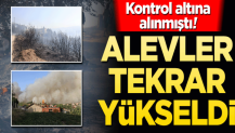 Kontrol altına alınmıştı! Alevler tekrar yükseldi