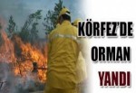 Körfez'de Bir Hektarlık Ormanlık Alan Yandı